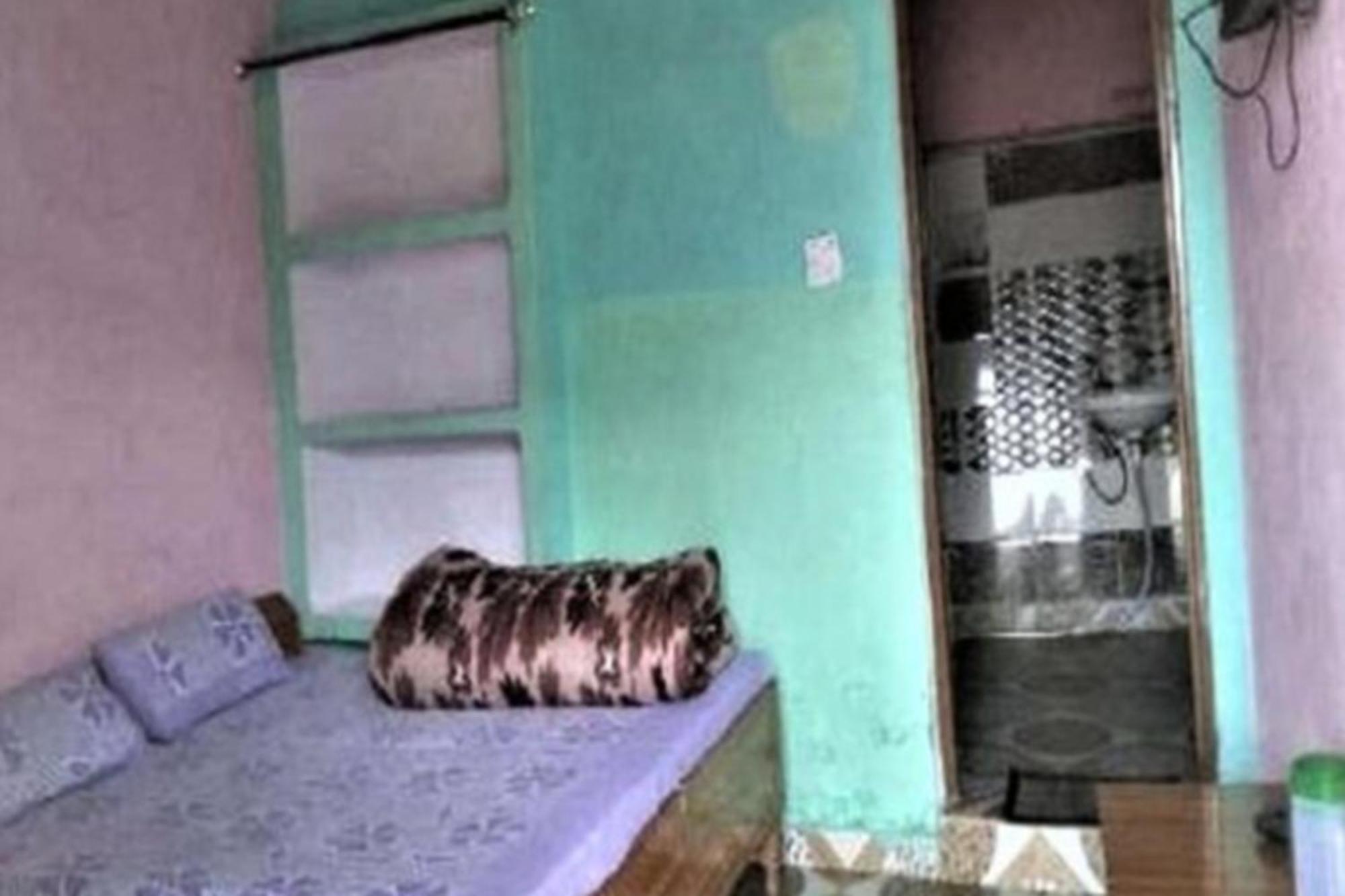 Stayapart - Hari Keshari Home Stay Gopeshwar Exterior photo